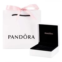 Bracciale Pandora Donna Pandora Icons in Argento 587953CZ-1 - 587953CZ-1